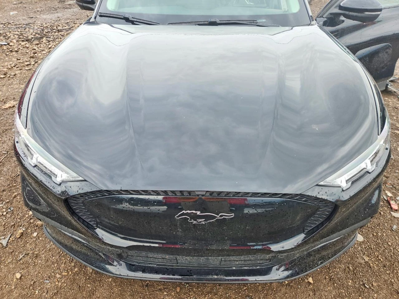 Ford Mustang Mach-E Select, снимка 11 - Автомобили и джипове - 55288917