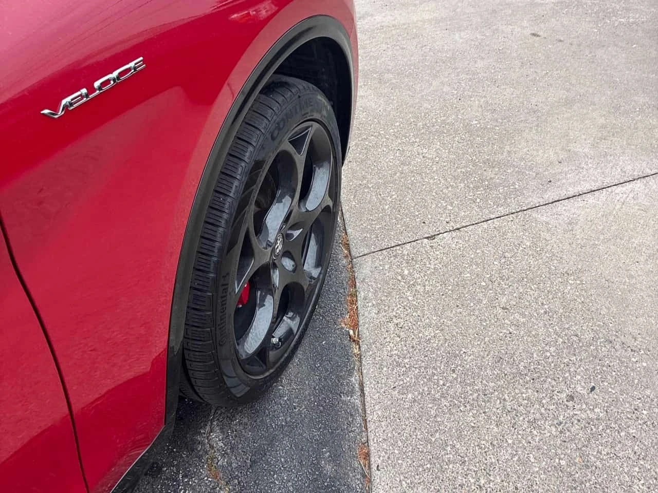Alfa Romeo Stelvio  AWD / Harman Kardon / Distronic / ����������  | Mobile.bg � ����������� 13