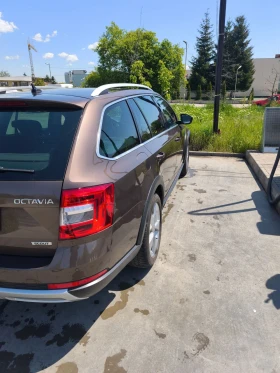 Skoda Octavia SCOUT, 4х4, 7 DSG, снимка 3