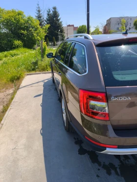Skoda Octavia SCOUT, 4х4, 7 DSG, снимка 4