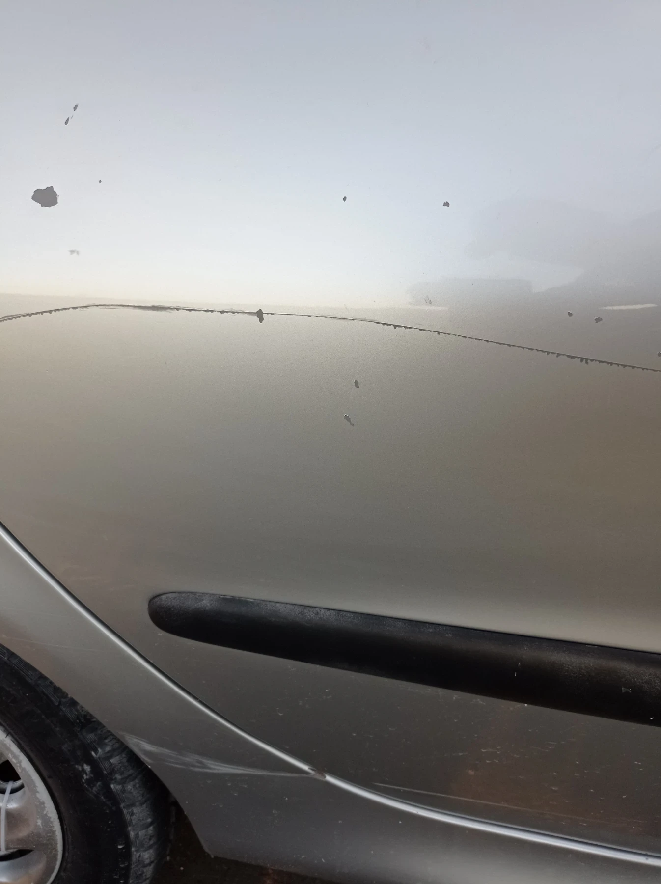 Peugeot 206 SW - изображение 8