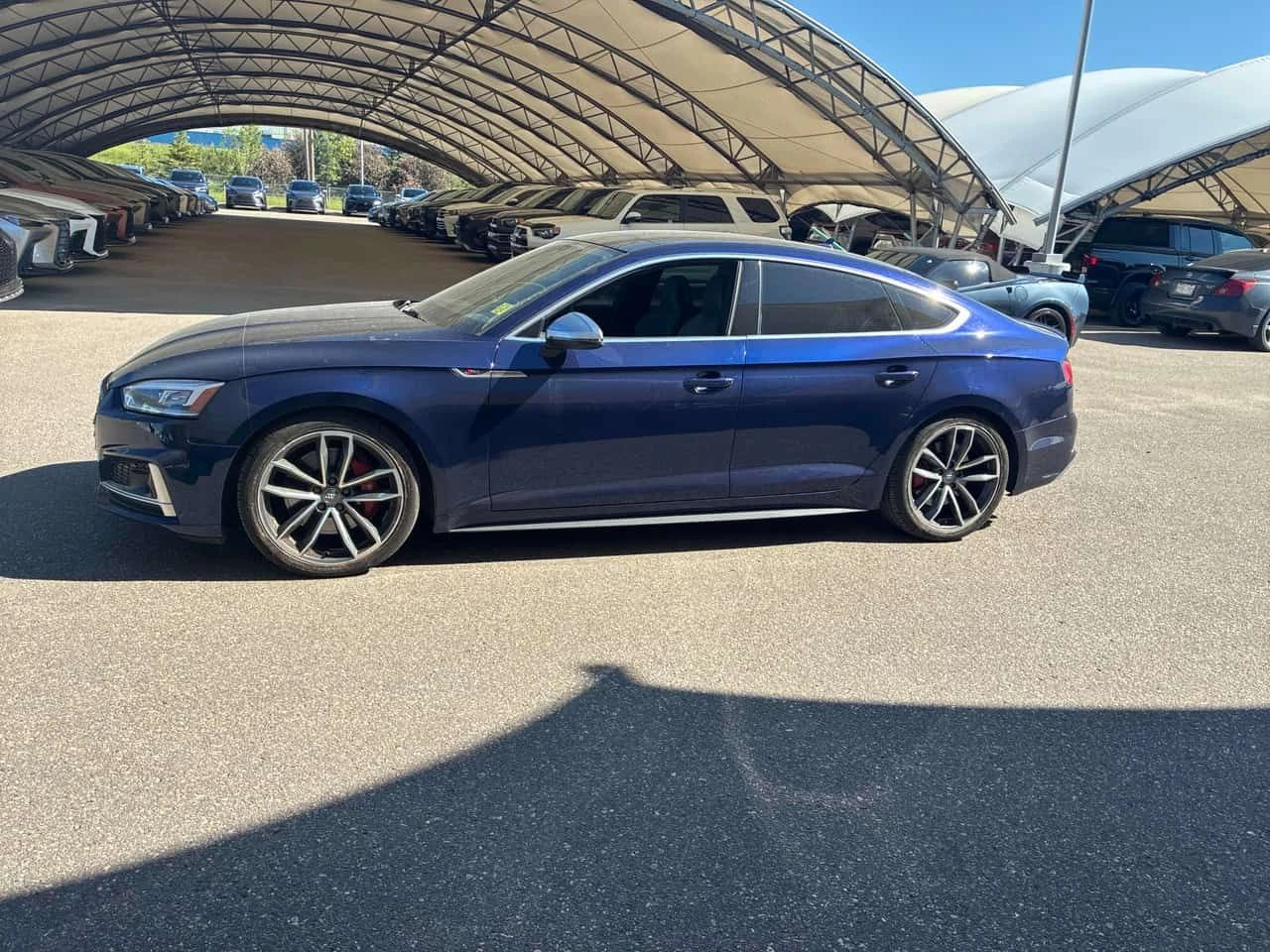 Audi S5 * Technik * CARFAX * ОПЦИЯ ЗА ФИНАНСИРАНЕ, снимка 2 - Автомобили и джипове - 55235687