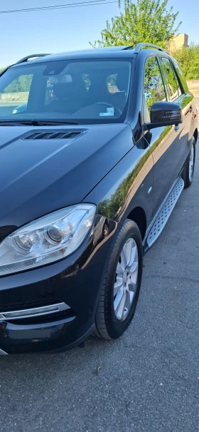     Mercedes-Benz ML 250