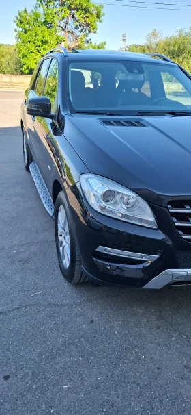     Mercedes-Benz ML 250
