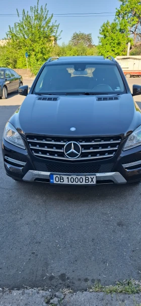     Mercedes-Benz ML 250