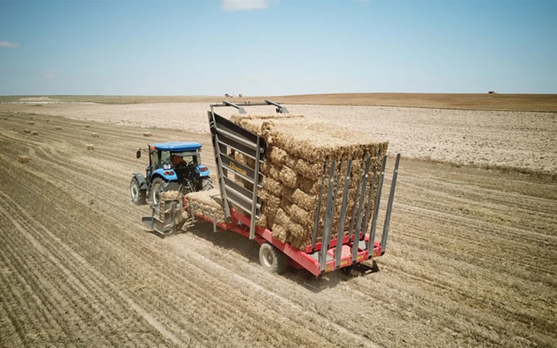 �� ������� BT168 | Mobile.bg � ����������� 2