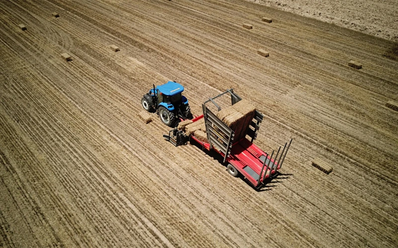 �� ������� BT168 | Mobile.bg � ����������� 5