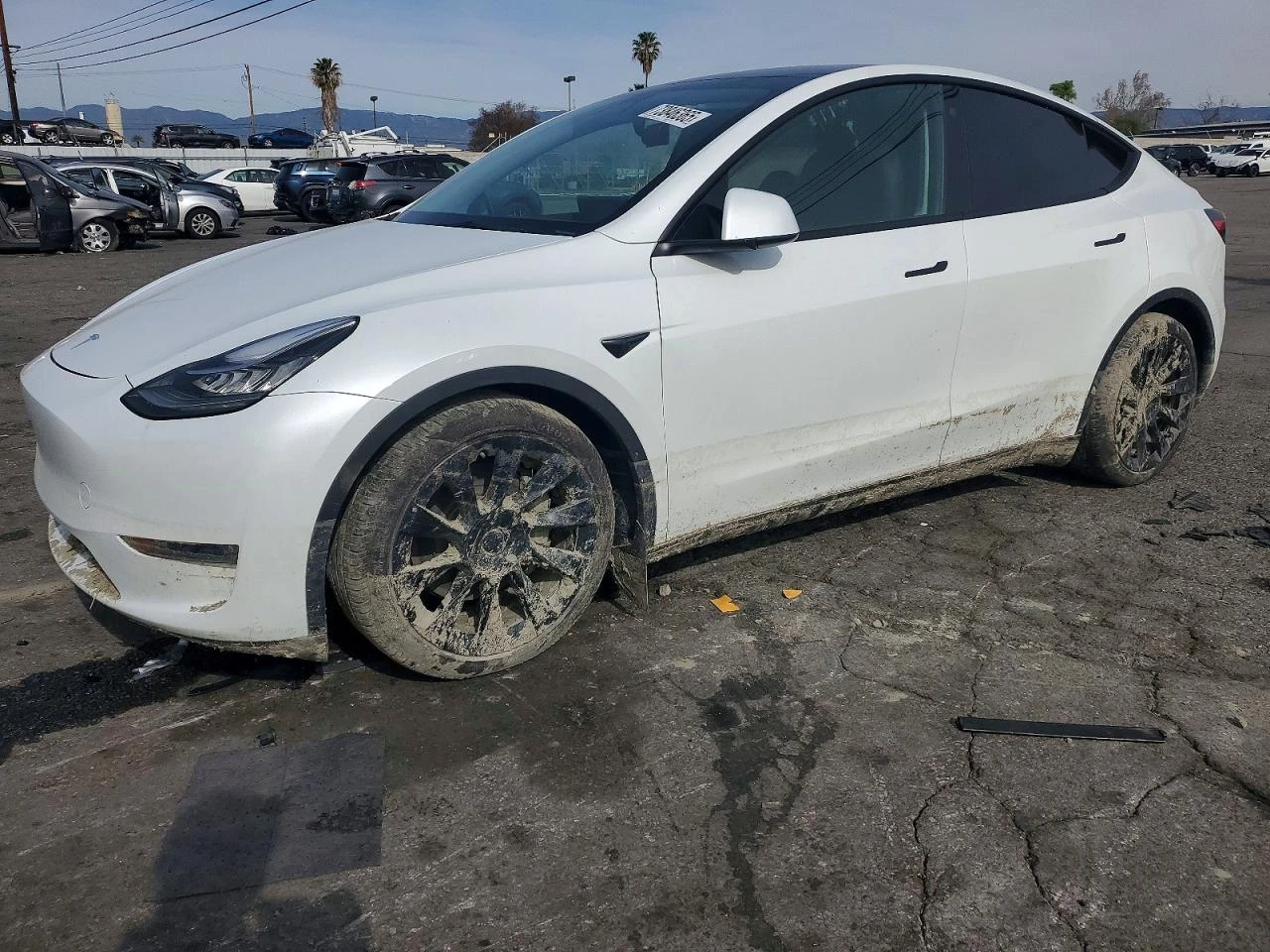 Tesla Model Y DUAL MOTOR AWD | Mobile.bg � ����������� 1