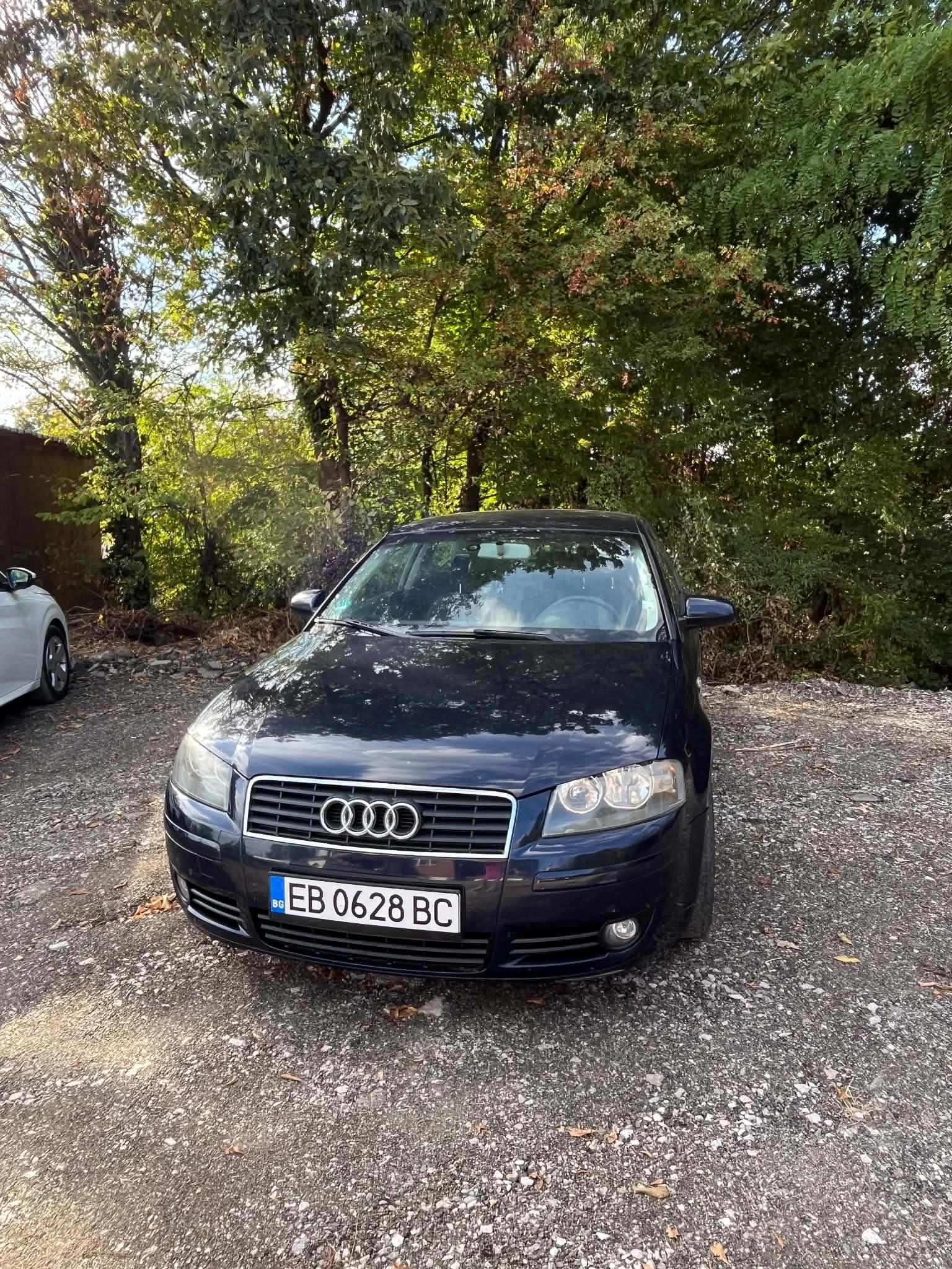 Audi A3, снимка 11 - Автомобили и джипове - 56332075