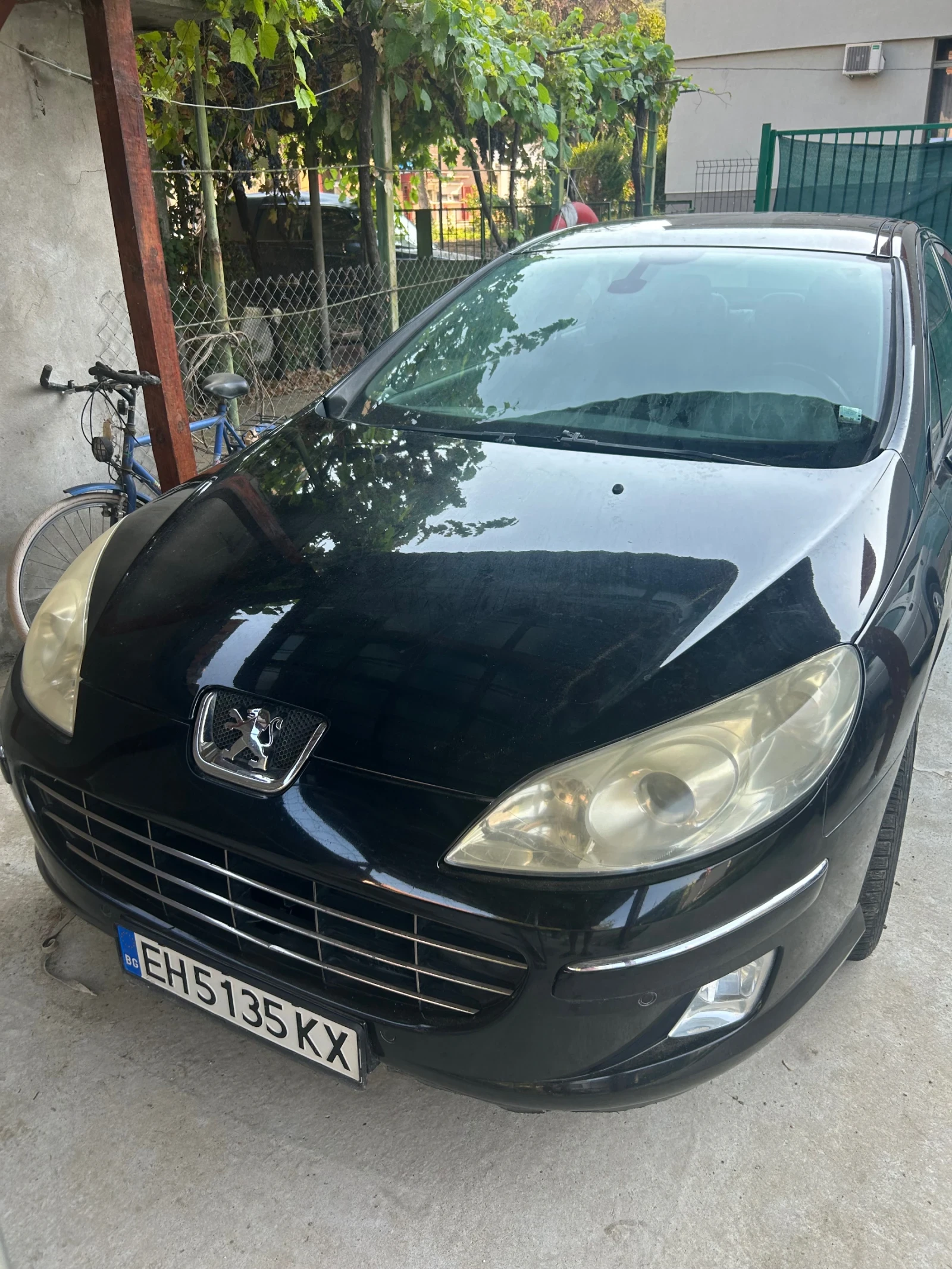 Peugeot 407