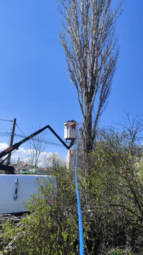 Автовишка Друга марка Renault Master  | Auto.bg — изображение 6