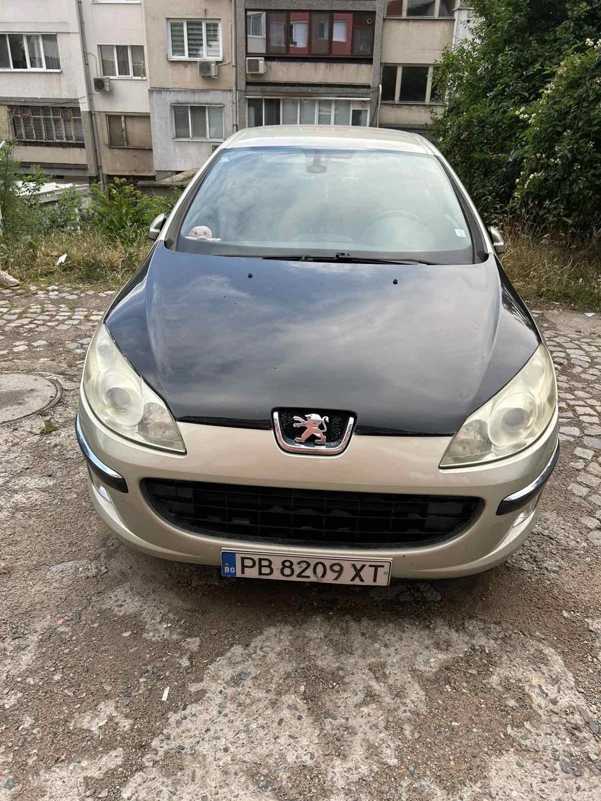 Peugeot 407