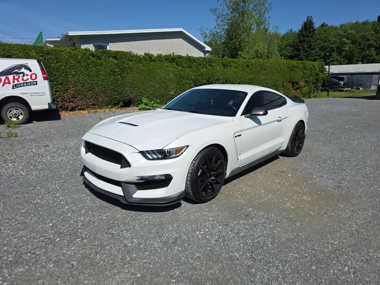 Ford Mustang GT 5.0 V8