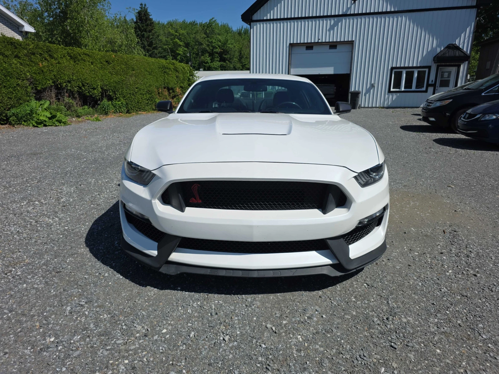 Ford Mustang GT 5.0 V8, снимка 4 - Автомобили и джипове - 54855242