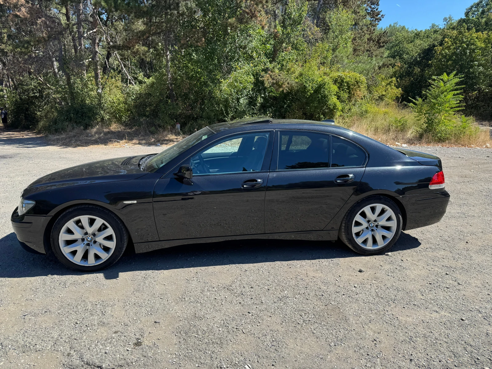 BMW 730 D, снимка 3 - Автомобили и джипове - 56057503