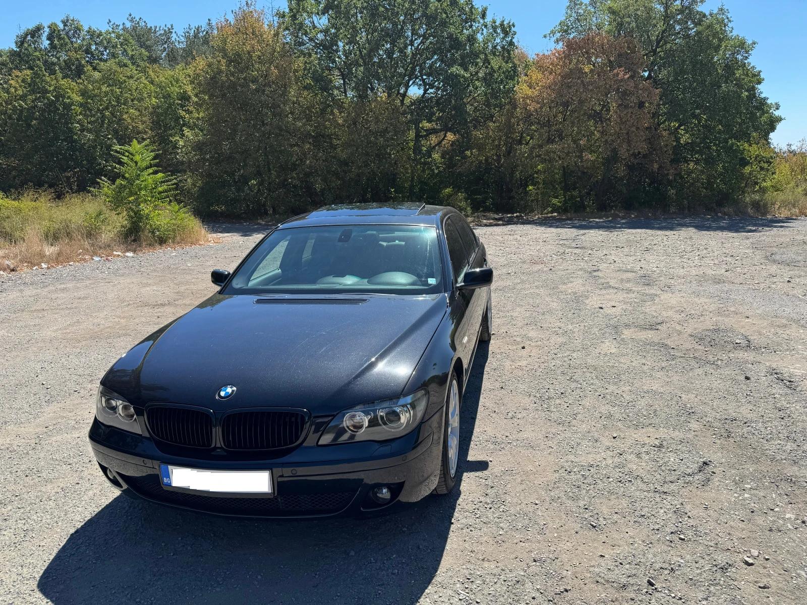 BMW 730 D, снимка 2 - Автомобили и джипове - 56057503
