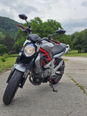 Suzuki Gladius 650, снимка 3