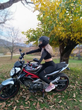 ������ Suzuki Gladius