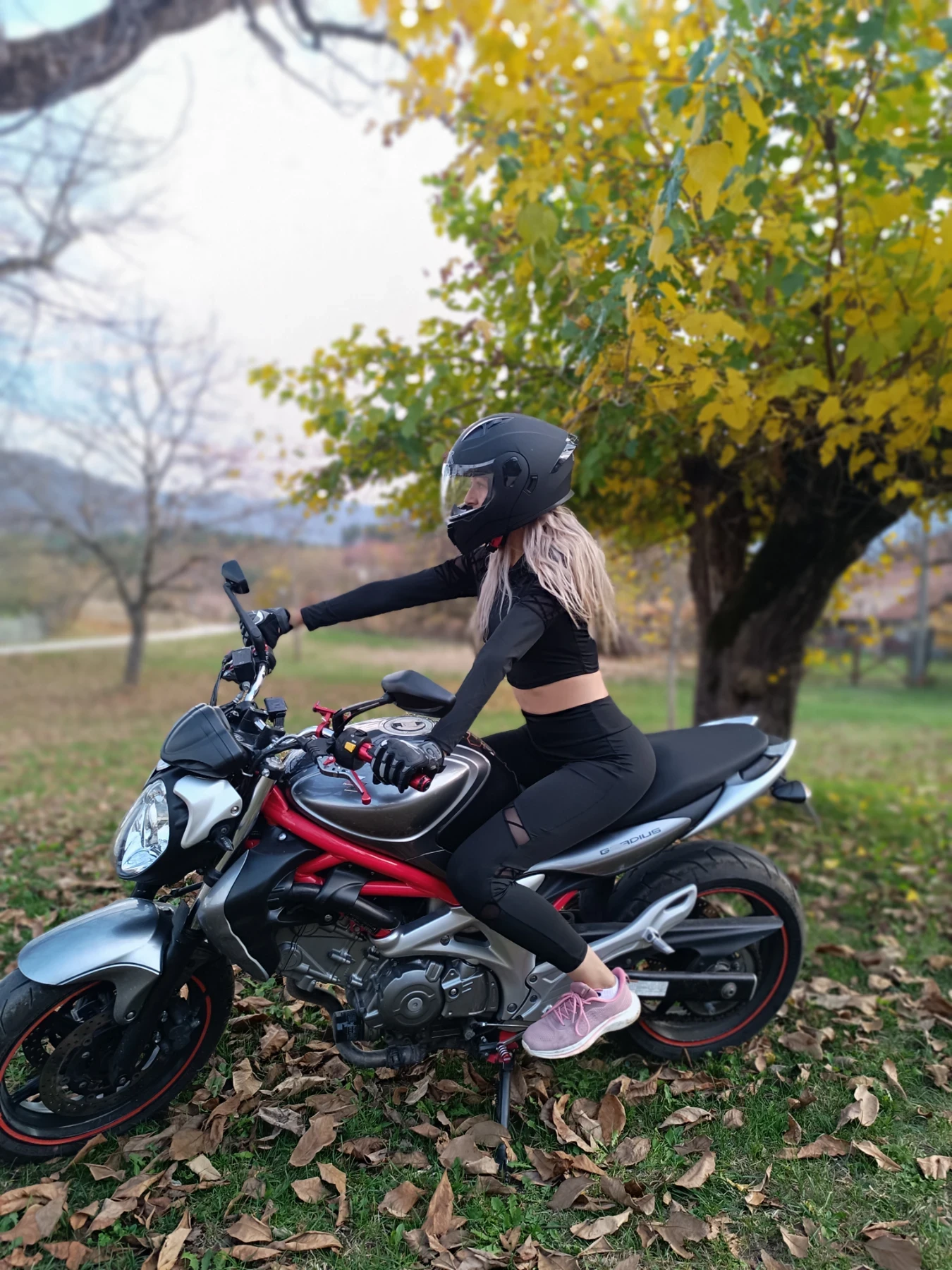 Suzuki Gladius 650
