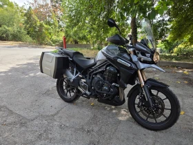 Triumph Tiger