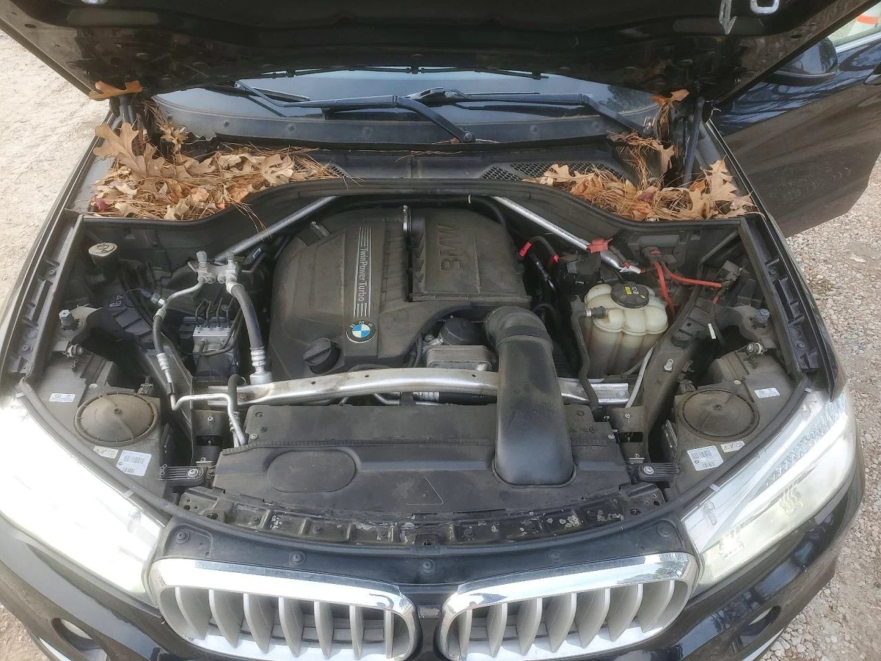 BMW X5 XDRIVE35I | Mobile.bg � ����������� 12