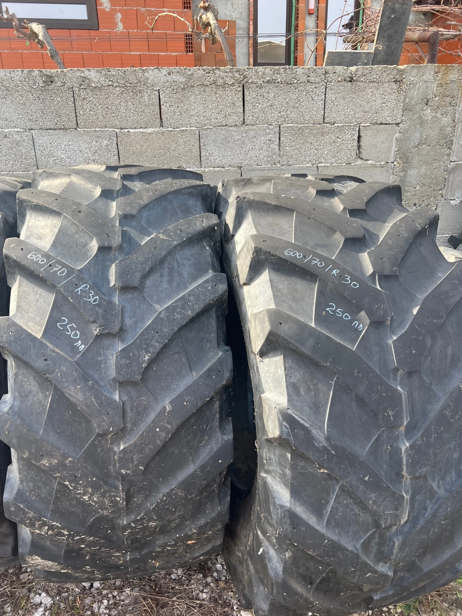 ���� | Mobile.bg � ����������� 6