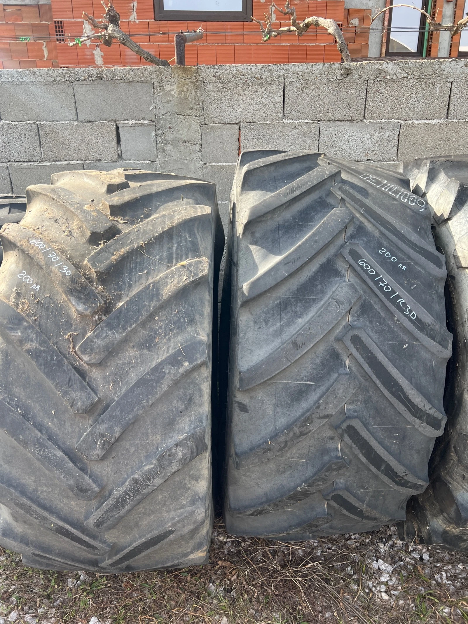 ���� | Mobile.bg � ����������� 5