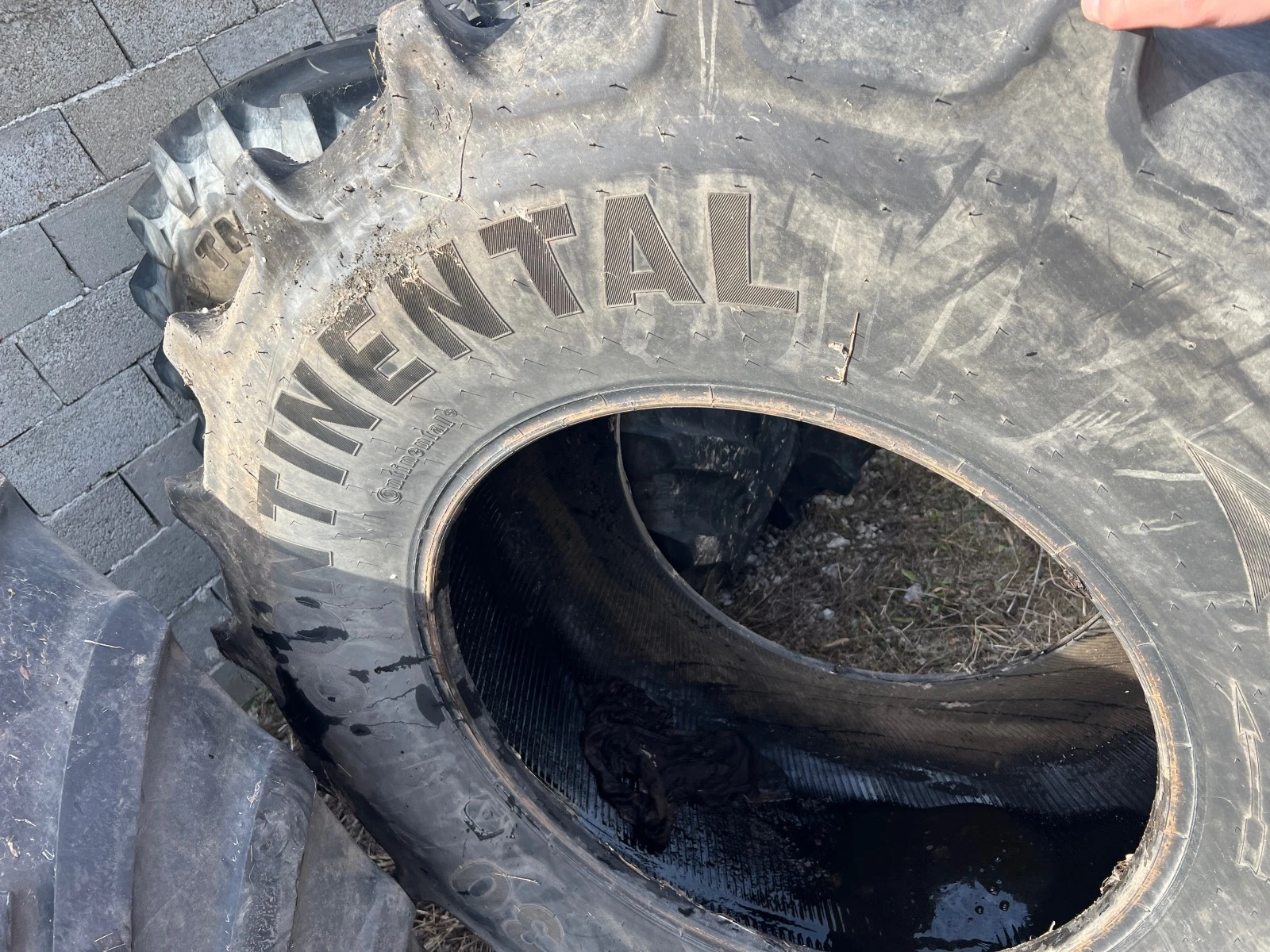 ���� | Mobile.bg � ����������� 3