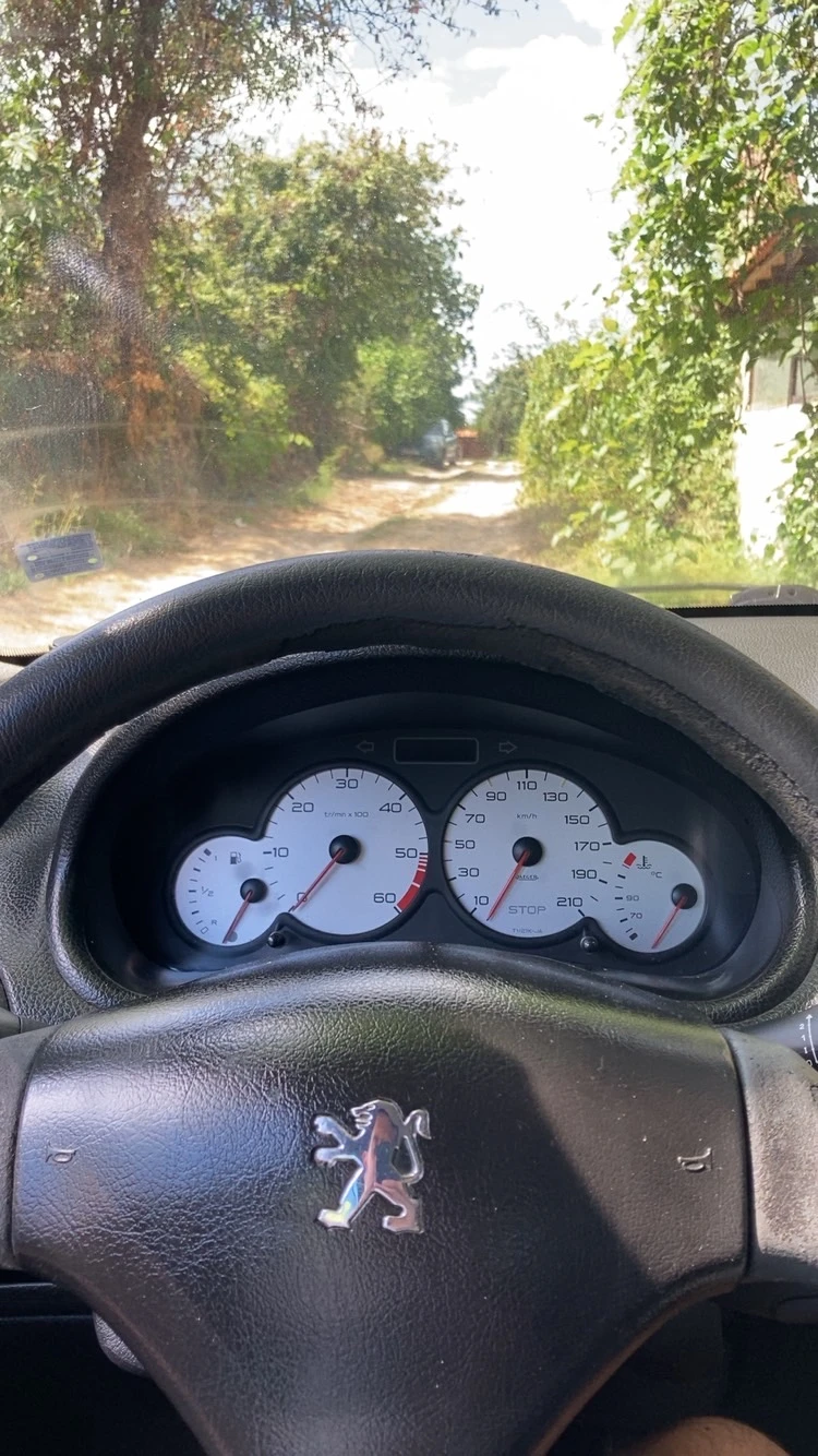 Peugeot 206, снимка 6 - Автомобили и джипове - 56067318