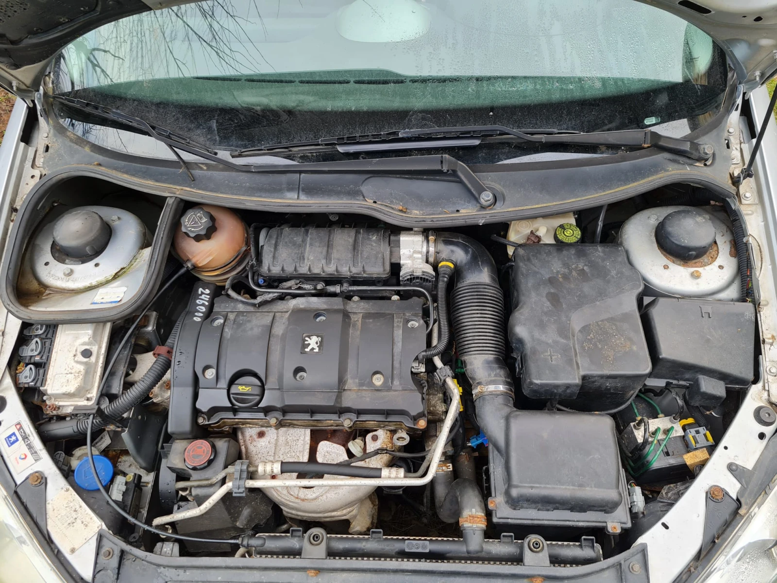 Peugeot 206 | Mobile.bg � ����������� 13