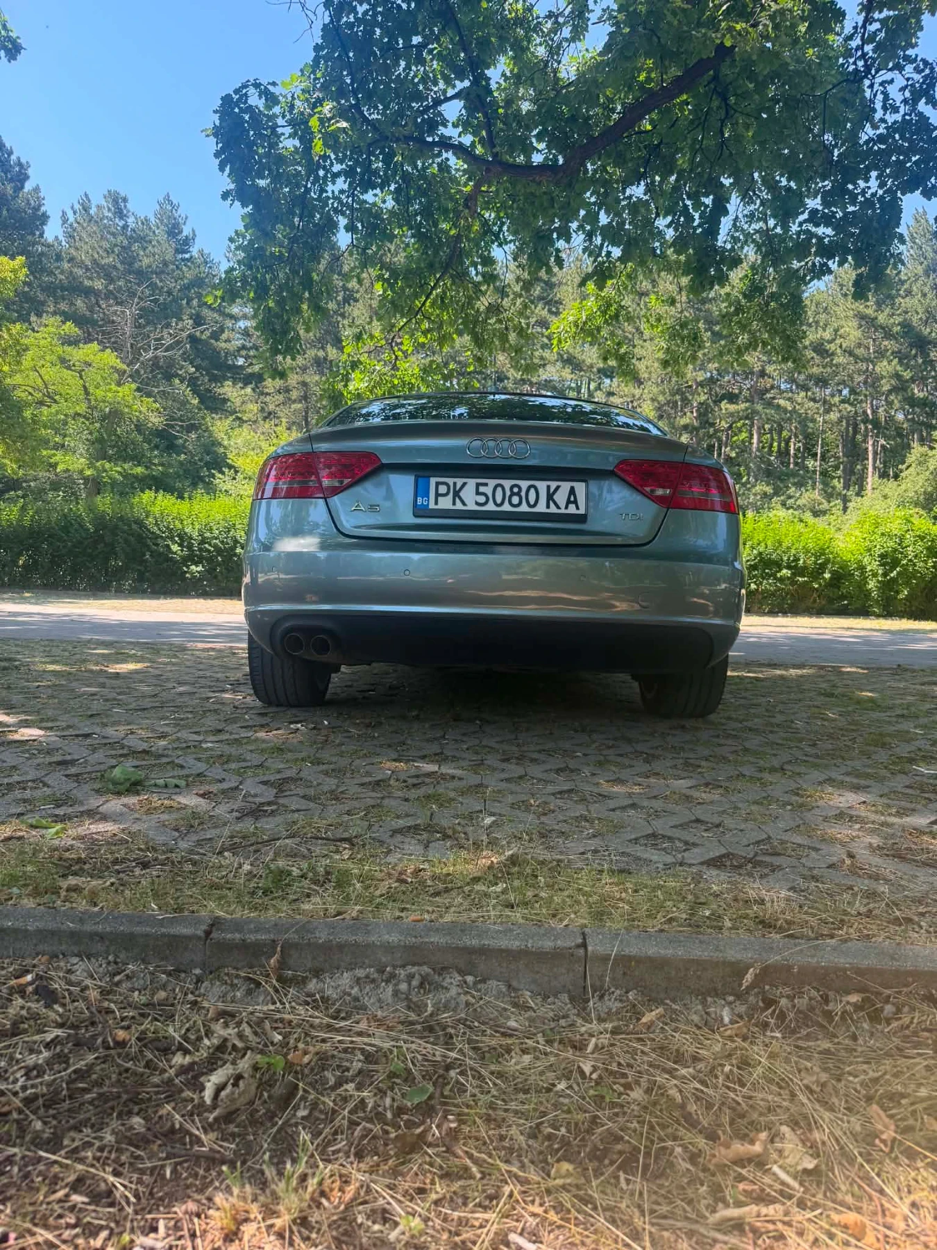 Audi A5 2.0 TDi 170hp, снимка 3 - Автомобили и джипове - 55078805
