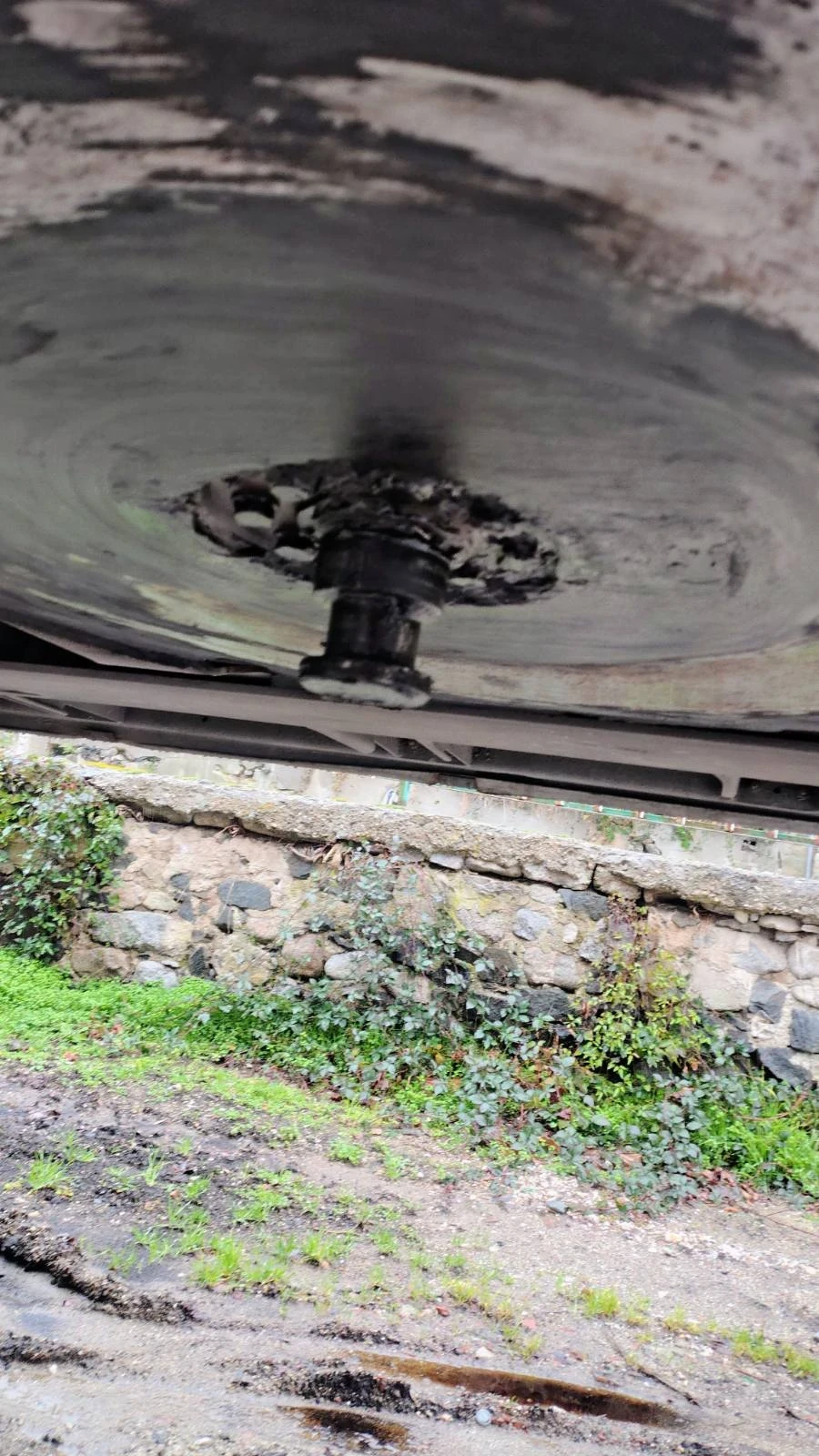 ����������� Schmitz | Mobile.bg � ����������� 10