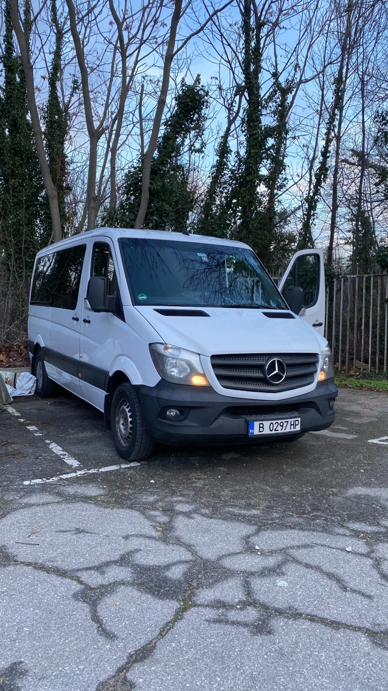 Mercedes-Benz Sprinter 316, снимка 1 - Бусове и автобуси - 48459214