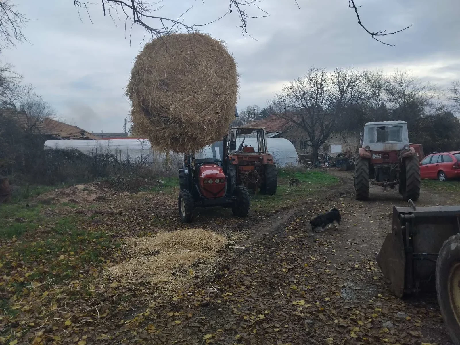  Yanmar AF 330 | Mobile.bg   12