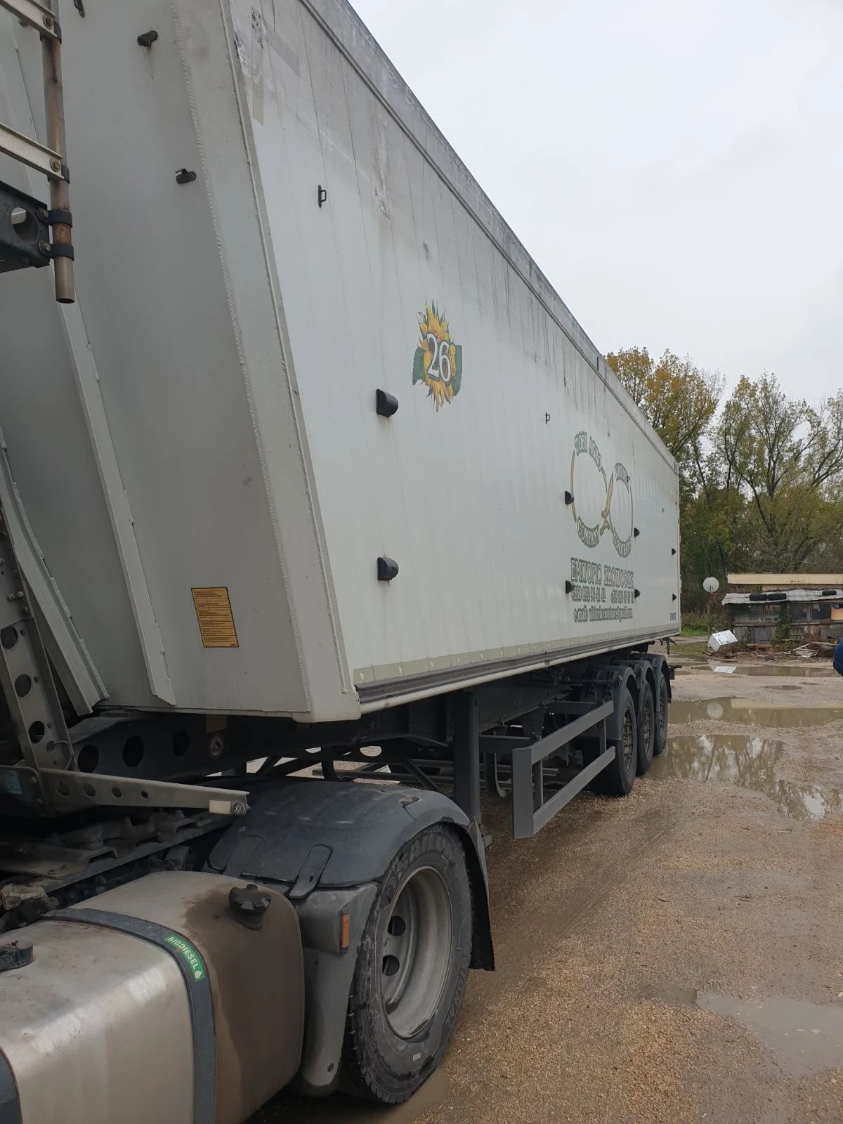  Schmitz   | Mobile.bg   3