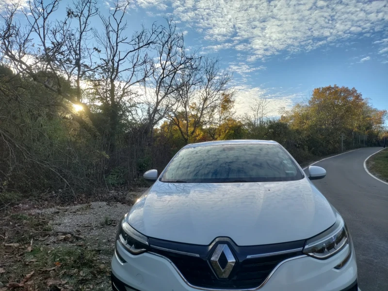 Renault Megane, снимка 6 - Автомобили и джипове - 52190084