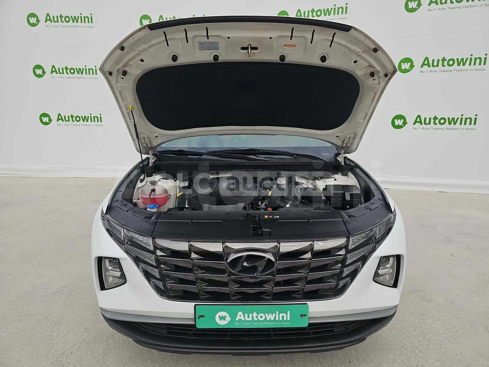 Hyundai Tucson ПОДГРЕВИ * ДВА КЛЮЧА * , снимка 11 - Автомобили и джипове - 54285797