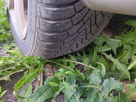 Peugeot 307 Кабрио , снимка 8