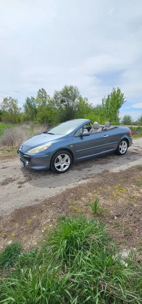 Peugeot 307, снимка 3