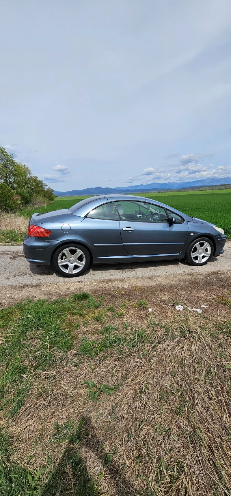 Peugeot 307, снимка 6 - Автомобили и джипове - 49379551