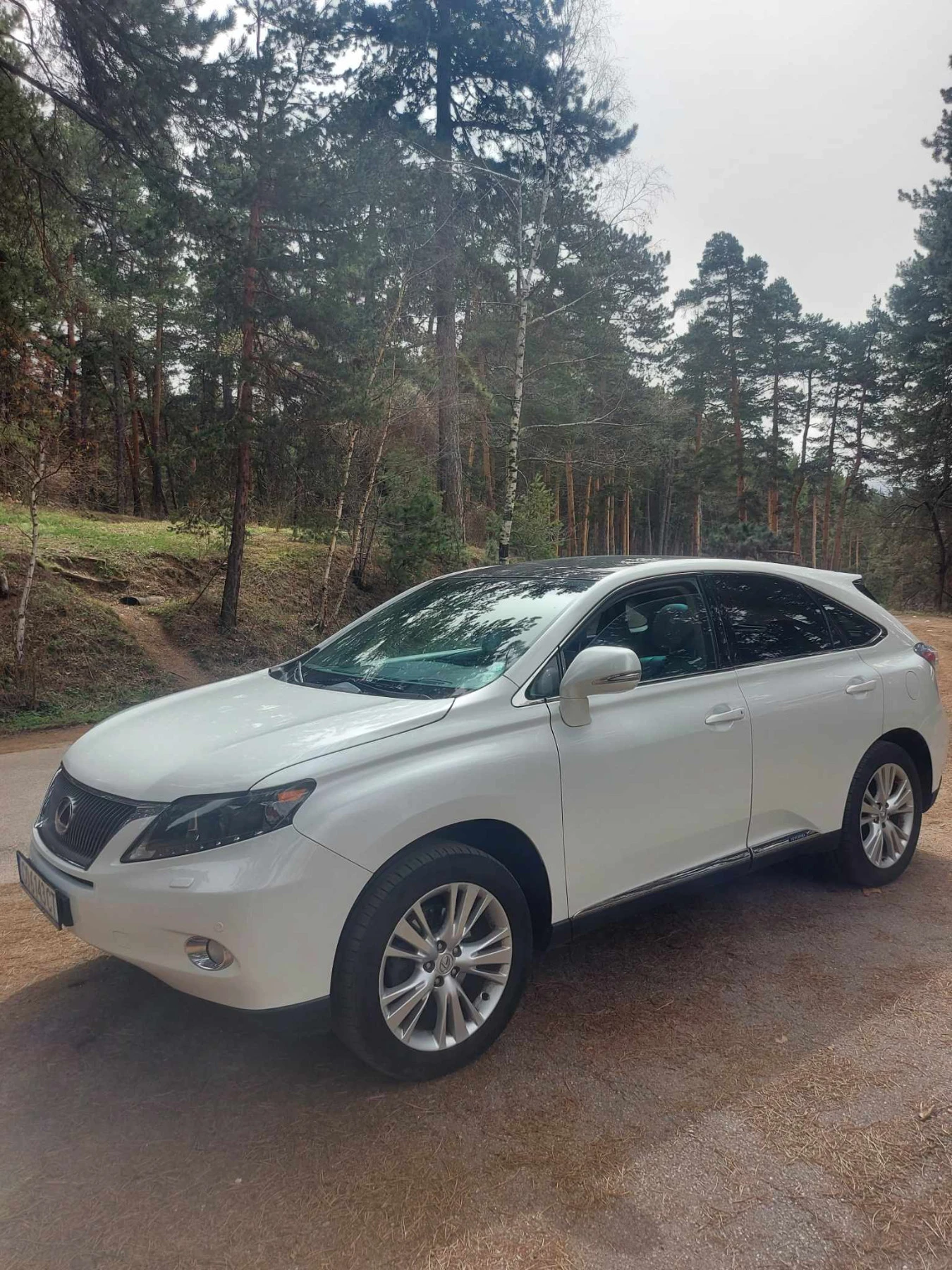 Lexus RX 450  - изображение 2