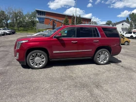 Cadillac Escalade * Platinum * АВТОКРЕДИТ БЕЗ ПЪРВОНАЧАЛНА ВНОСКА* , снимка 2