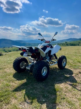  Access Motor Tomahawk 400 | Mobile.bg    5