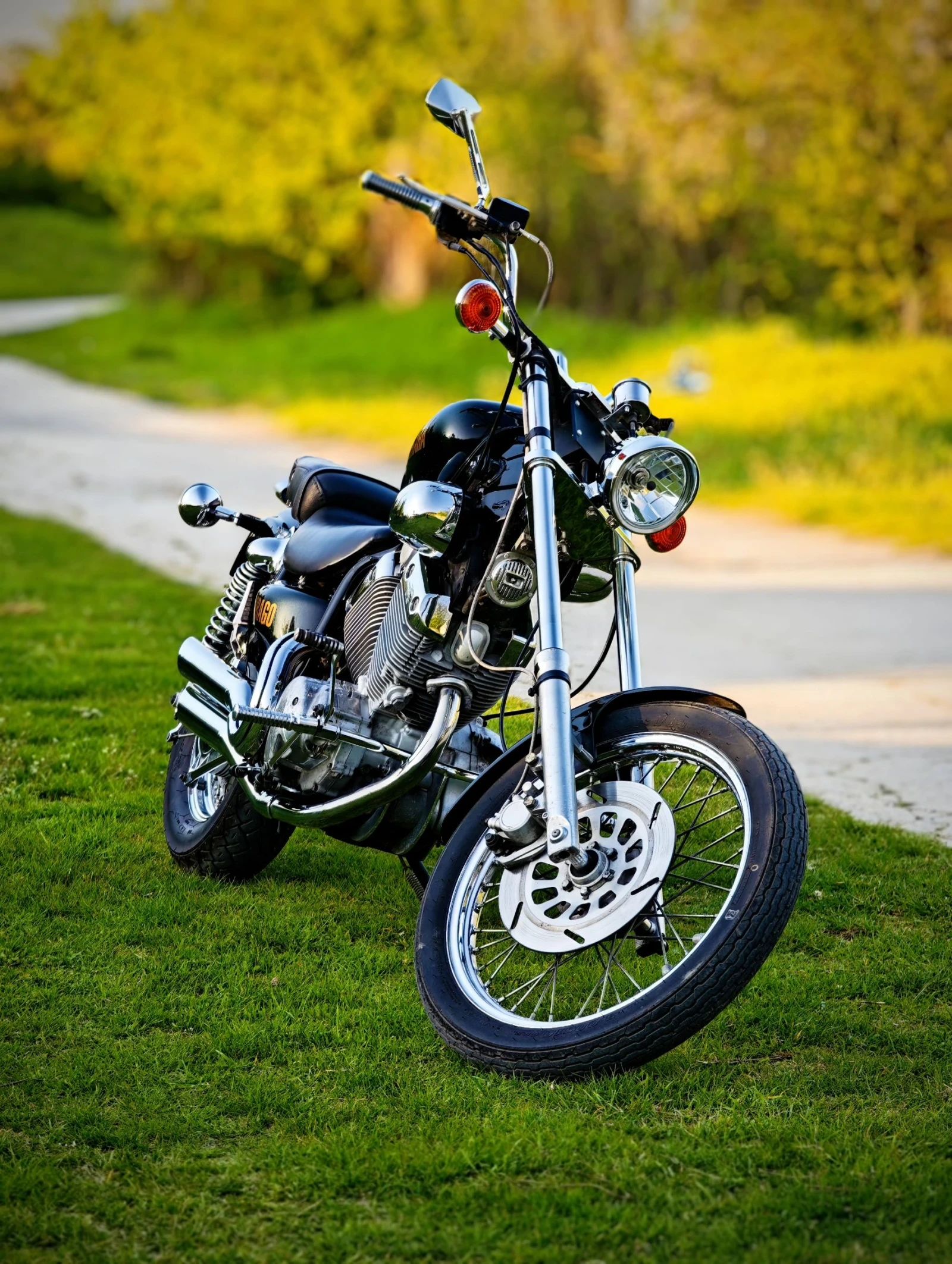 Yamaha Virago  - изображение 5