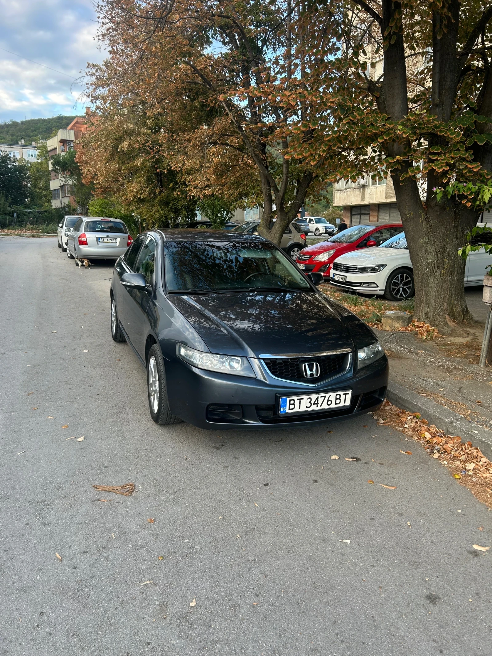 Honda Accord  - изображение 9