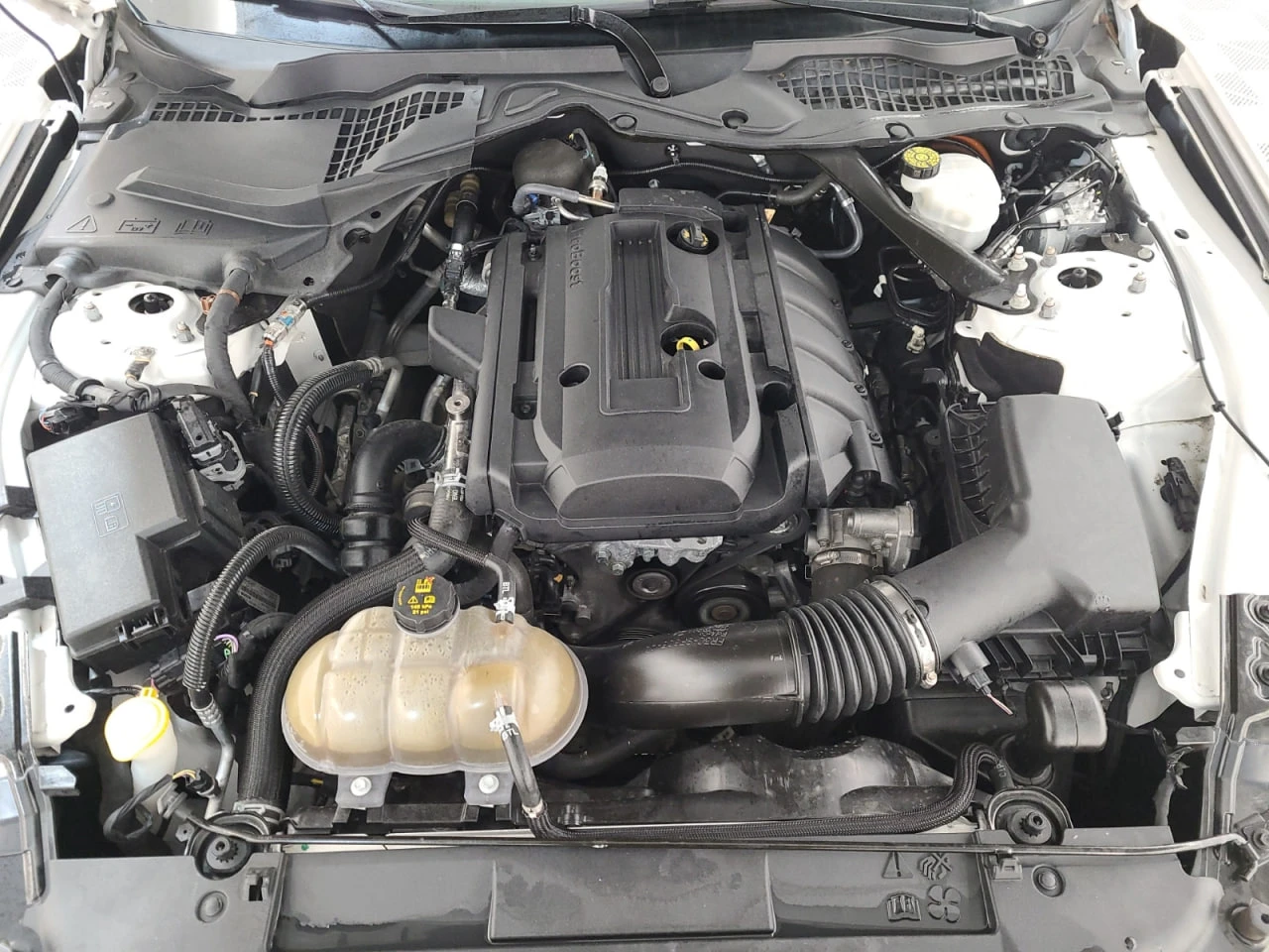 Ford Mustang ECOBOOST PREMIUM* ��������* ��������� | Mobile.bg � ����������� 12