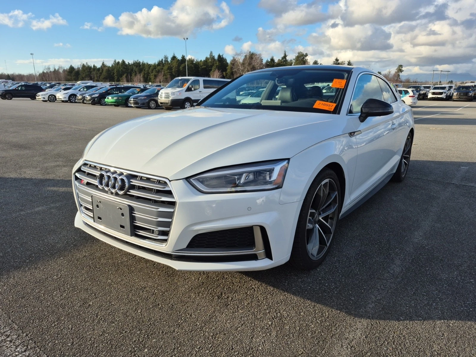 Audi S5 * TECHNIK* ����� �������� �������* ����������*  | Mobile.bg � ����������� 1