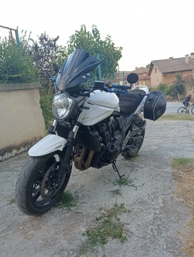  Suzuki Gsf