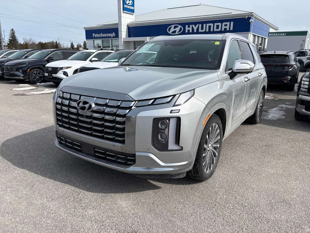 Hyundai Palisade * Ultimate Calligraphy * DIS * 360 * ОБДУХВАНЕ