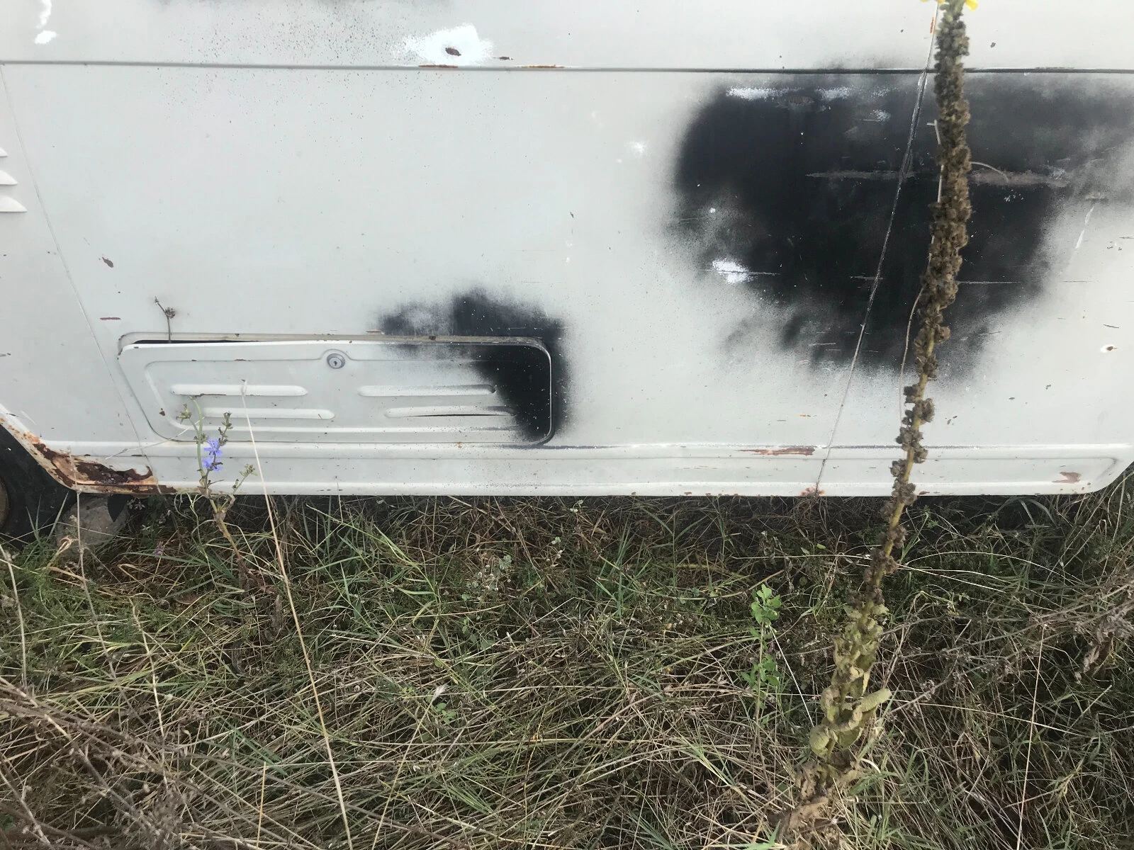 Barkas 1000 | Mobile.bg � ����������� 15